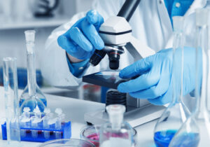 lab